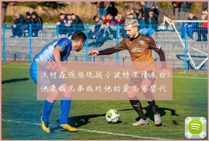 沃特森现场观战小波特深情表白：他是我兄弟我对他的爱无可替代